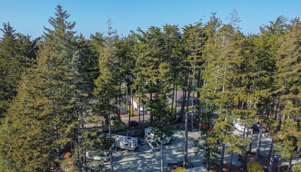 photo features a tree-shrouded bandon oregon rv park, with dappled light shining down on a variety of white rvs and airstreams.