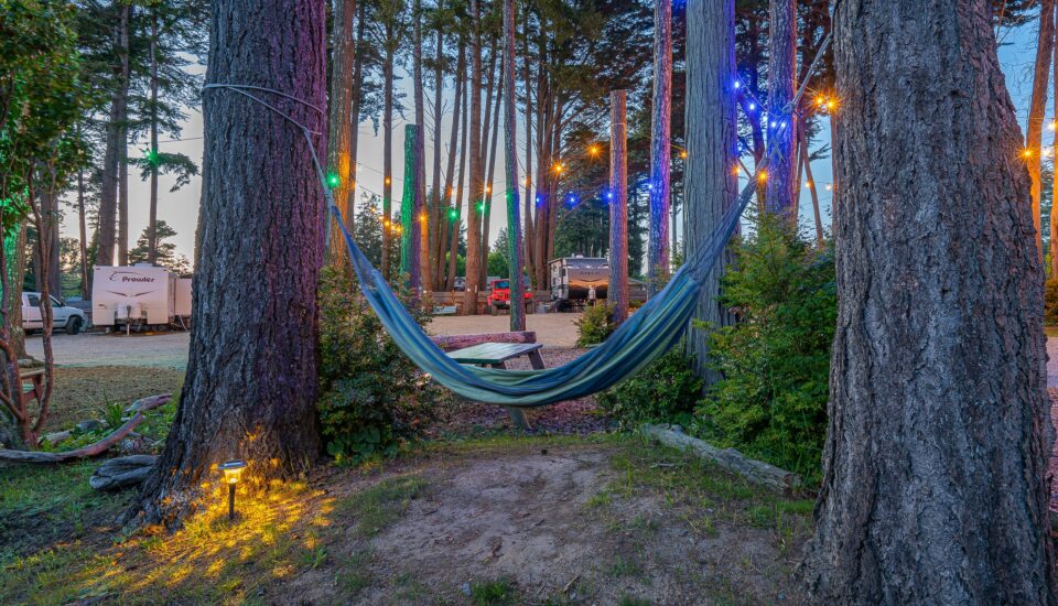 photo of a colorful hammock hanging between two tent camping sites in bandon oregon