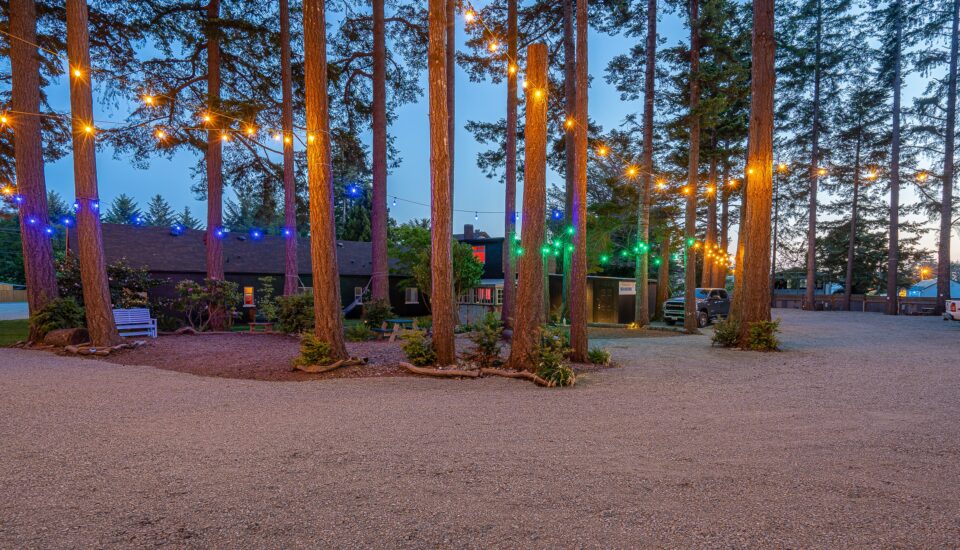 photo features two campsites in a bandon rv park with packed gravel pads, warm white lights strung between tall trees, and a gender-neutral bathroom